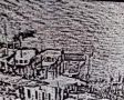 Grassi