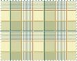 Green Check