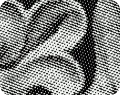 grayscale shading